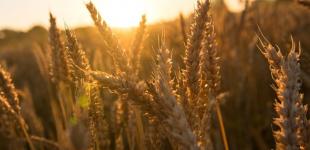 Гороскоп на 22 серпня для всіх знаків зодіаку: день, який краще провести вдома