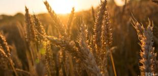 Гороскоп на 28 серпня для всіх знаків зодіаку: день, коли потрібно слухати внутрішній голос