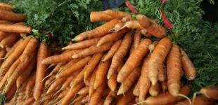 В Україні здорожчав один з овочів борщового набору