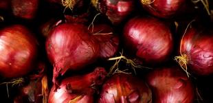 В Україні різко здорожчала цибуля