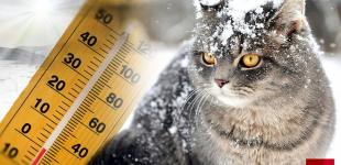 На Україну сунуть морози: синоптики попереджають про небезпеку на дорогах