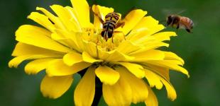 Гороскоп на 20 червня для всіх знаків зодіаку: день, коли потрібно робити вольові вчинки