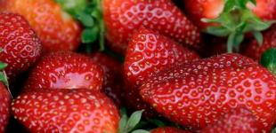 Гороскоп на 28 червня для всіх знаків зодіаку: день, коли на нас чатуватимуть спокуси