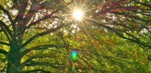 Як святкувати осіннє рівнодення 2025 року: коли воно відбудеться, що означає ця дата