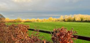 Гороскоп на 10 листопада для всіх знаків зодіаку: день переходу до нового етапу в житті та роботі