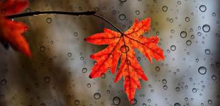 Коли в Україні можливі перші заморозки: синоптики здивували прогнозом погоди до кінця вересня