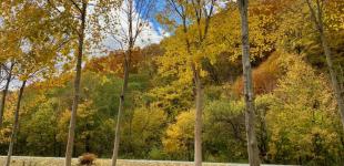 Гороскоп на 30 вересня для всіх знаків зодіаку: день, коли проблеми вирішаться самі собою