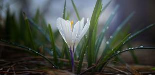 До України йде 15-градусне тепло: синоптикиня назвала точну дату