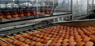 «Золоті» яйця: скільки в Україні коштуватимуть яйця до Великодня і до чого тут Трамп