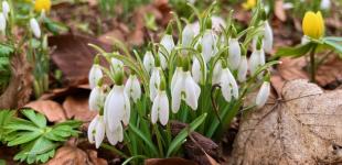 Гороскоп на 12 березня для всіх знаків зодіаку: день, коли треба побоюватися дратівливості