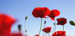 Гороскоп на 6 червня для всіх знаків зодіаку: день негативної енергетики та занепаду сил