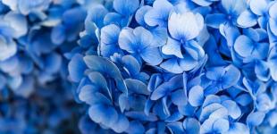 Гороскоп на 2 липня для всіх знаків зодіаку: день, коли спалахуватимуть сварки й конфлікти