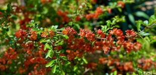 Гороскоп на 18 квітня для всіх знаків зодіаку: день, коли песимістичний погляд на світ зміниться оптимістичним