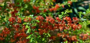 Гороскоп на 24 травня для всіх знаків зодіаку: день, коли ми знайдемо внутрішню свободу