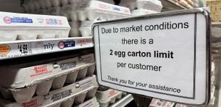 Наша завуальована відповідь Трампу. Українським виробникам яєць рекомендували не захоплюватися експортом