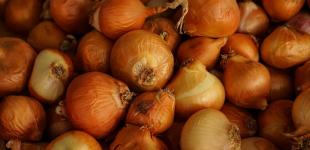 В Україні ціни на популярний овоч впали до найнижчого за чотири роки рівня