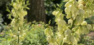 Гороскоп на 16 липня для всіх знаків зодіаку: день, коли чужу таємницю не можна використовувати на шкоду