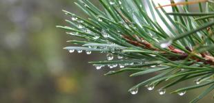 В Україні в неділю погіршиться погода: синоптики розповіли, чого чекати