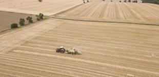 Купити пай. Експерт розказав, від чого залежить ціна землі та скільки на цьому можна заробити