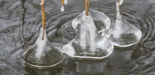 Буде найтеплішою з країн Європи. Синоптик дала прогноз на 24 лютого в Україні