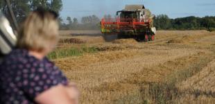 В Україні розпочали збір зерна: який очікується врожай та як він вплине на ціни