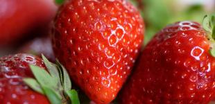 Дешево не буде: в Україні стартував сезон популярної літньої ягоди. Які ціни на ринку