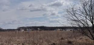 Ціна паю у 2024 та 2025 роках: чи змінилась вартість землі