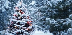 Частину України після потепління накриє сніг, ввірветься похолодання: синоптикиня дала прогноз