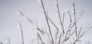 Синоптик розповіла, коли до України повернеться 