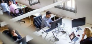 Робота в IT найприбутковіша? Галузі ринку праці України, де обіцяють високий дохід