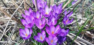 Синоптик прогнозує в Україні аномальну погоду накрикінці березня: до чого готуватись