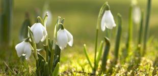 На вихідних в Україну увірветься весняне тепло