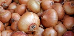 На ринках стрімко здешевшав популярний овоч