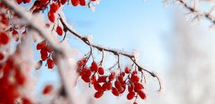 В Укргідрометцентрі розказали, яка погода чекає на українців до кінця робочого тижня