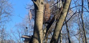 Гідрометцентр попередив про морози, ожеледь і сильний вітер у Київській області