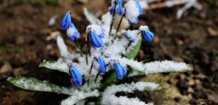 Якою буде погода на початку весни