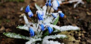 Синоптикиня дала прогноз на весну в Україні й розповіла, чи чекати справжнього тепла