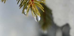 Новий тиждень — нова погода. Синоптики повідомили, чи вдасться перепочити від опадів після вихідних