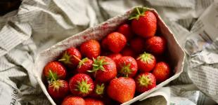 В Україні раптово обвалилися ціни на популярний літній продукт: скільки коштує кілограм