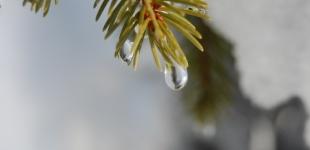 Значно похолодає: на Україну насувається потужний арктичний антициклон, коли чекати