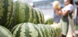 Врожайний рік. Чи чекати низьких цін на кавуни та звідки їх везуть