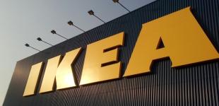 Кабмин хочет помочь IKEA выйти на украинский рынок 
