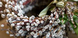 Украинцам сегодня обещают до +20°