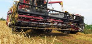 Аграрии уже собрали 35,7 млн тонн зерна