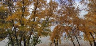 Синоптики прогнозируют в Украине потепление до 18 градусов днем