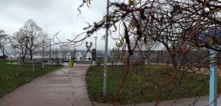 Невеликий дощ, сніг та туман — прогноз на середу