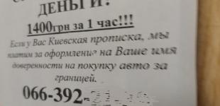 За что украинцам будут выдавать 1400 грн в час: Новая схема афер 