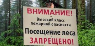 В Крыму жителям запретили ходить в лес 