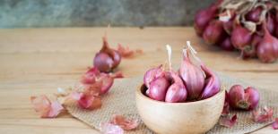 Чем полезен лук-шалот?