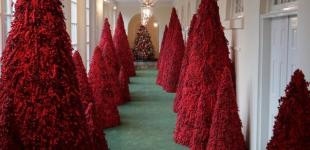 Белый дом к Рождеству украсили красными елками